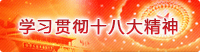 学习贯彻十八大精神